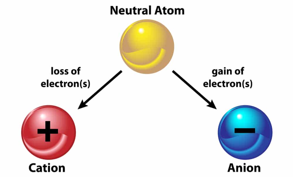 proton charge 