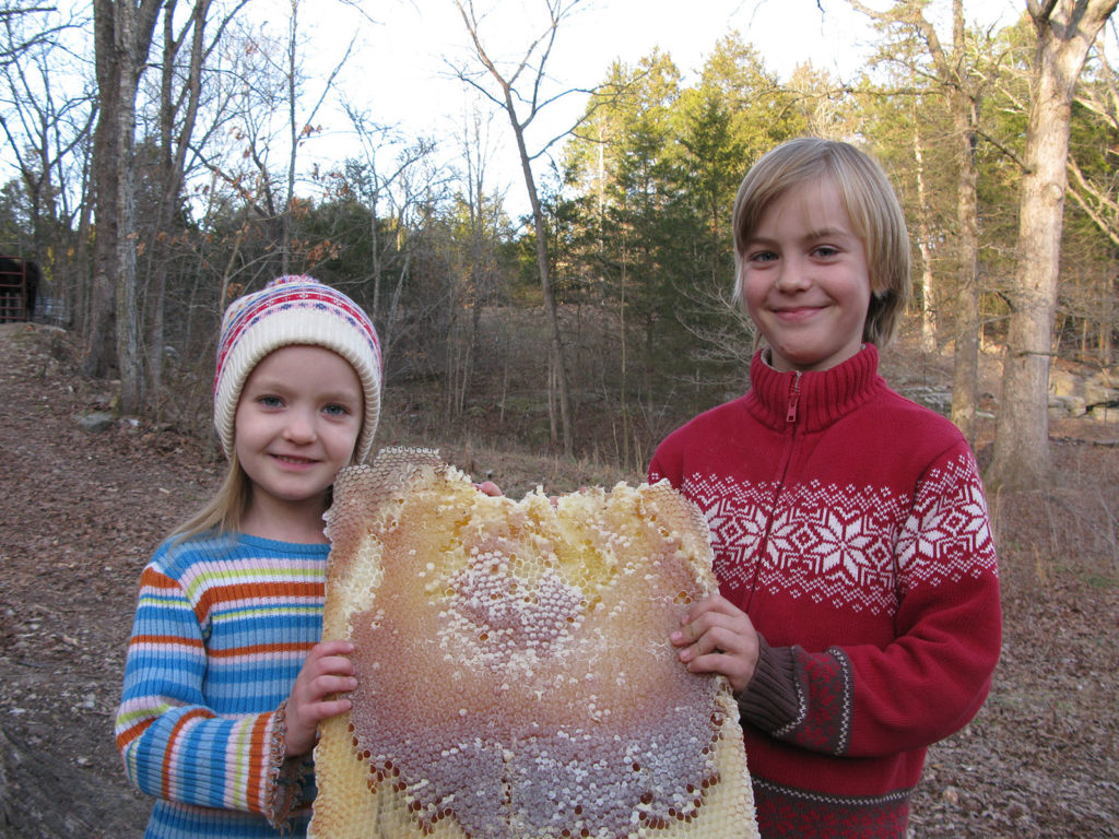 Large honeycomb