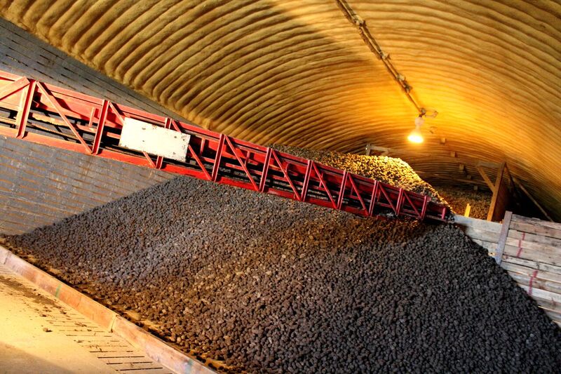 blue potatoes in storage facility