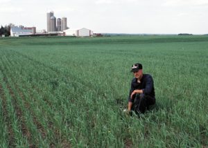 man in field