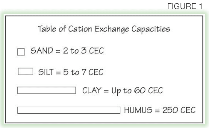 Figure 1: Table of Cation Exchange Capacities