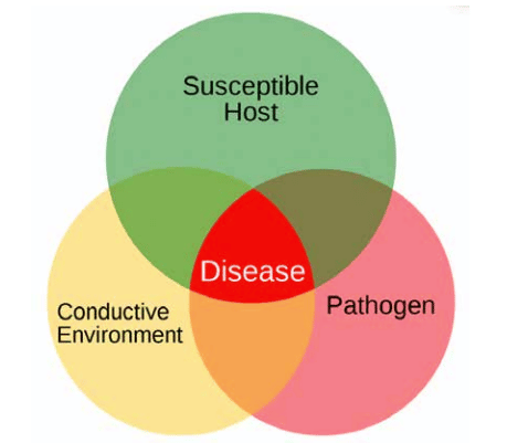 venn diagram of the plant disease triangle