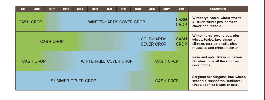 monthly planting guide for cover crops