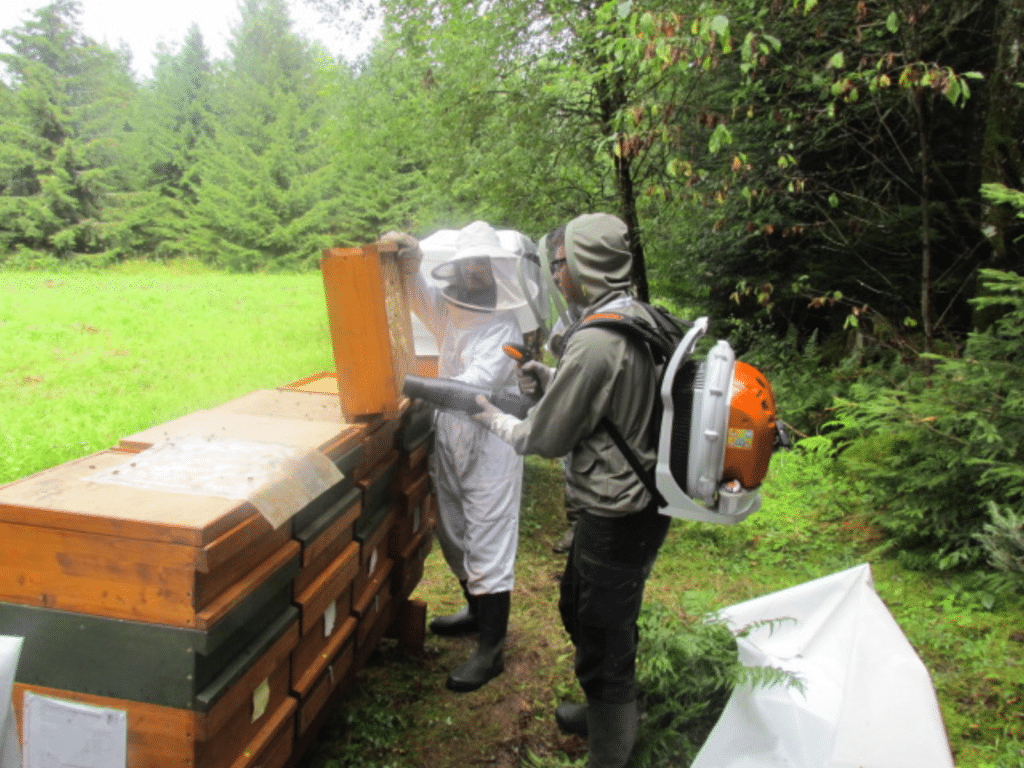 German beekeepers 