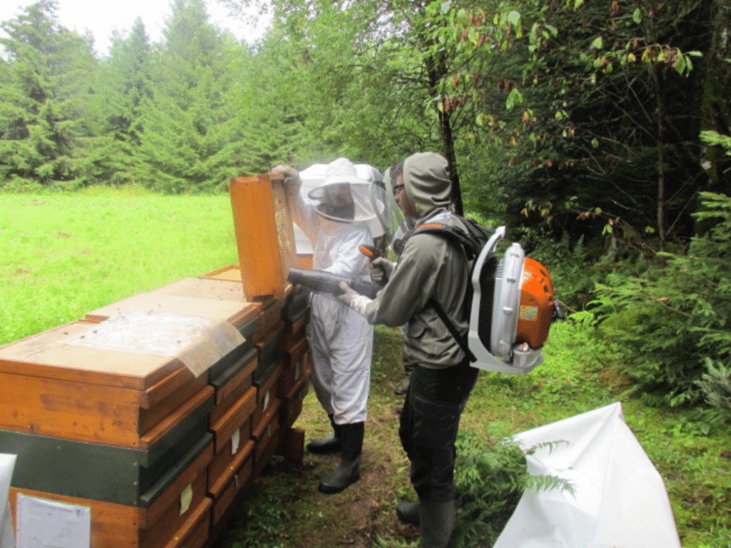 German beekeepers