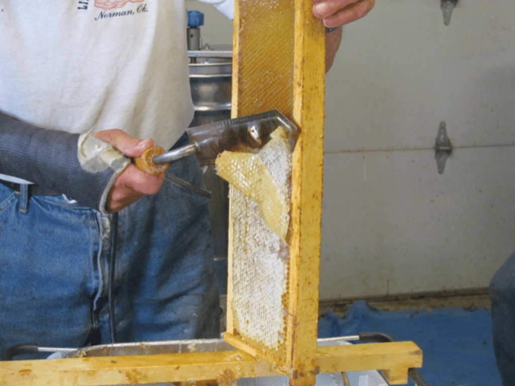 harvesting honey