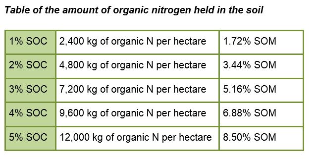 organic nitrogen in soil amounts