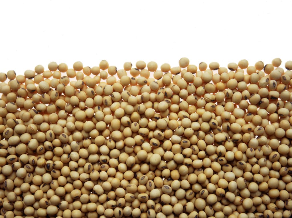soybeans as food