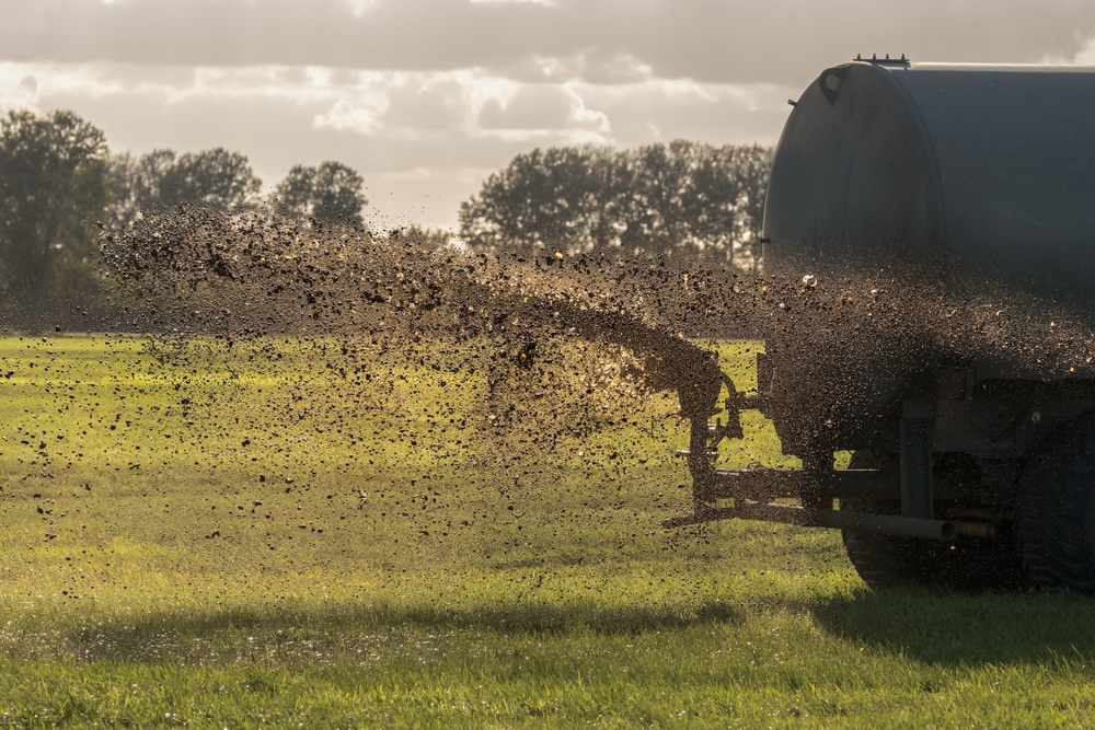 organic manure added to a field