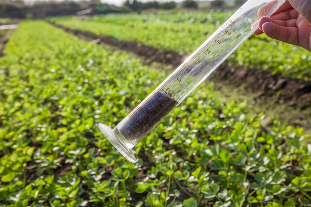 Examples of How to Adjust to Your Soil Test Results