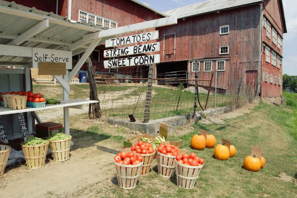 farmstand