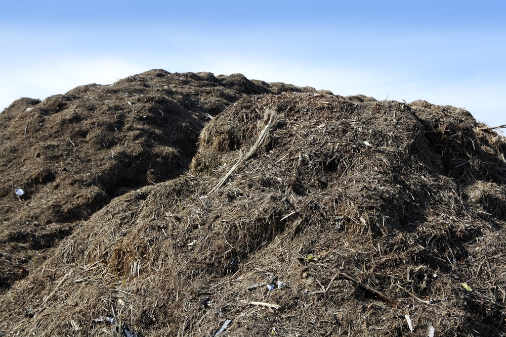 How to Produce Compost on a Large Scale