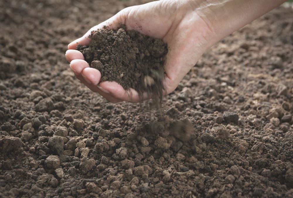 Soil Organic Matter and the Carbon Solution
