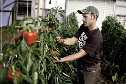 Tractor Time Episode 9: Ben Hartman and How to Make a Living on One Acre